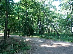 147_iP_200719_IMG_1520