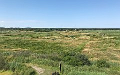 239_iP_200719_IMG_1562