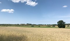 339_iP_200719_IMG_1572