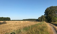 023_iP_200813_IMG_1577