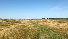 067_iP_200813_IMG_1589