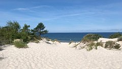 203_iP_200813_IMG_1633