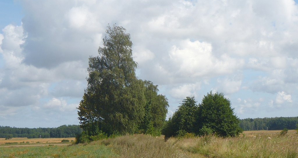 322_3D2_P1340760.JPG