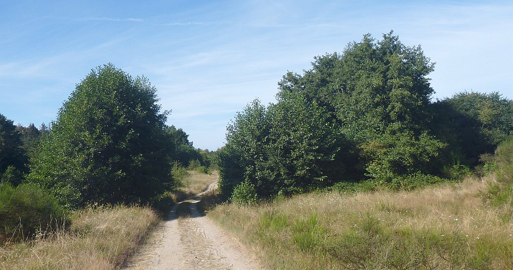 416_3D2_P1340822.JPG