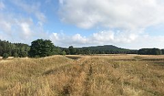 062_iP_200819_IMG_1721