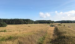 107_iP_200819_IMG_1727