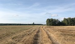 121_iP_200819_IMG_1735