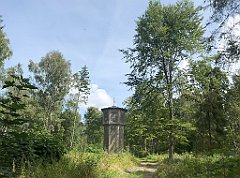 346_iP_200819_IMG_1805