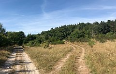 419_iP_200819_IMG_1837