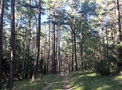 456_iP_200819_IMG_1846