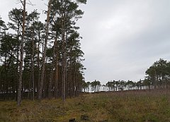 210_p20_IMG_20201129_141810