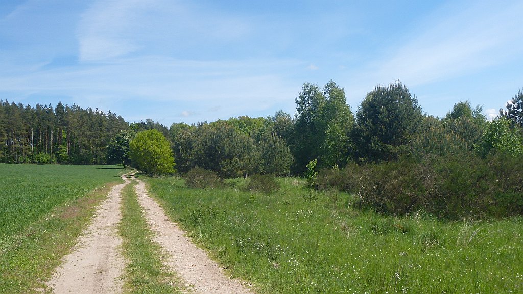 220_3D2_P1370230.JPG