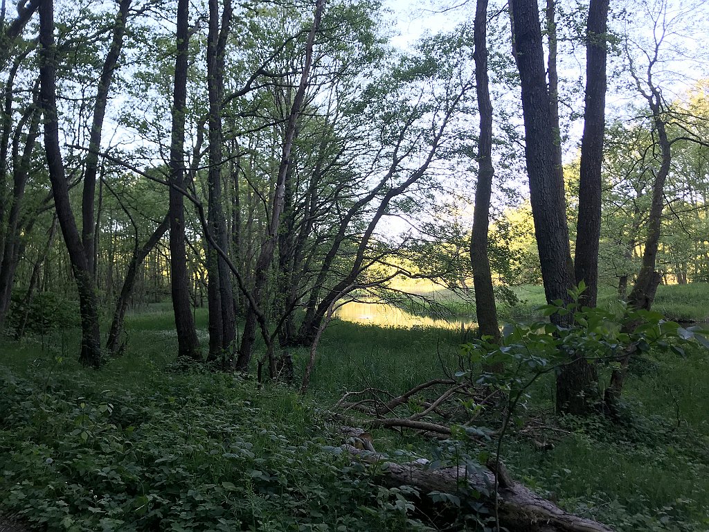 522_iP_210530_IMG_2585.JPG