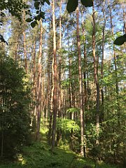 044_iP_210530_IMG_2367