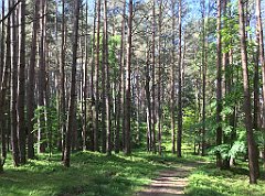 053_iP_210530_IMG_2380