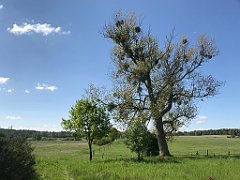 075_iP_210530_IMG_2397