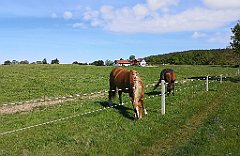 086_p20_IMG_20210530_094650