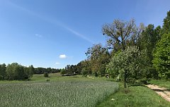 120_iP_210530_IMG_2418