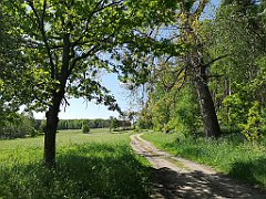 121_p20_IMG_20210530_101836