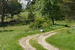 124_p20_IMG_20210530_101846