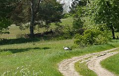 126_p20_IMG_20210530_101850