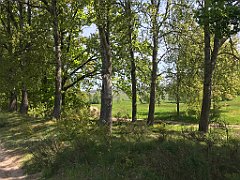 149_iP_210530_IMG_2434