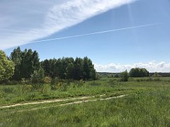 155_iP_210530_IMG_2439