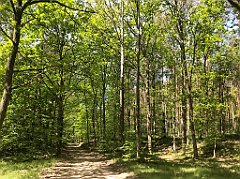 190_iP_210530_IMG_2454