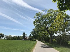 212_iP_210530_IMG_2458