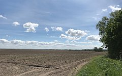 247_iP_210530_IMG_2466