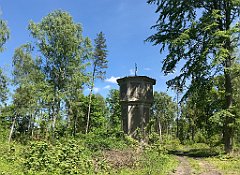 288_iP_210530_IMG_2482