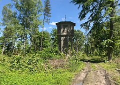 289_iP_210530_IMG_2481