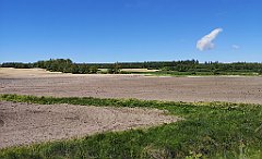 343_p20_IMG_20210530_142203