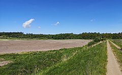 344_p20_IMG_20210530_142206