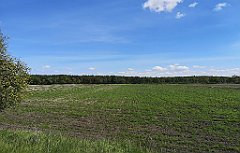 347_p20_IMG_20210530_142215