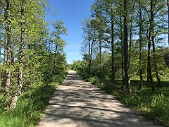 378_iP_210530_IMG_2495