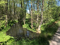 379_iP_210530_IMG_2496