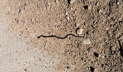 386_p20_IMG_20210530_153020