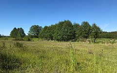 411_iP_210530_IMG_2509