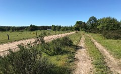 417_iP_210530_IMG_2520