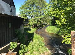 431_iP_210530_IMG_2526