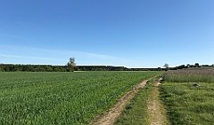 478_iP_210530_IMG_2552