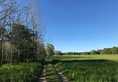 495_iP_210530_IMG_2556