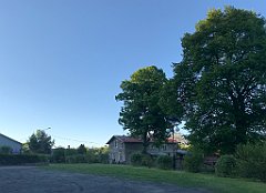 529_iP_210530_IMG_2598