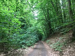 029_iP_210615_IMG_2604