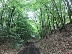 031_iP_210615_IMG_2605