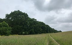 036_iP_210615_IMG_2611