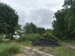 079_iP_210615_IMG_2630