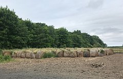 087_iP_210615_IMG_2636