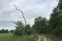 114_iP_210615_IMG_2645